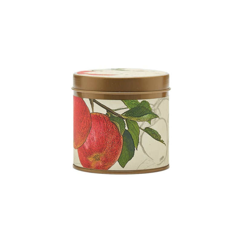 Spicy Apple Signature Tin