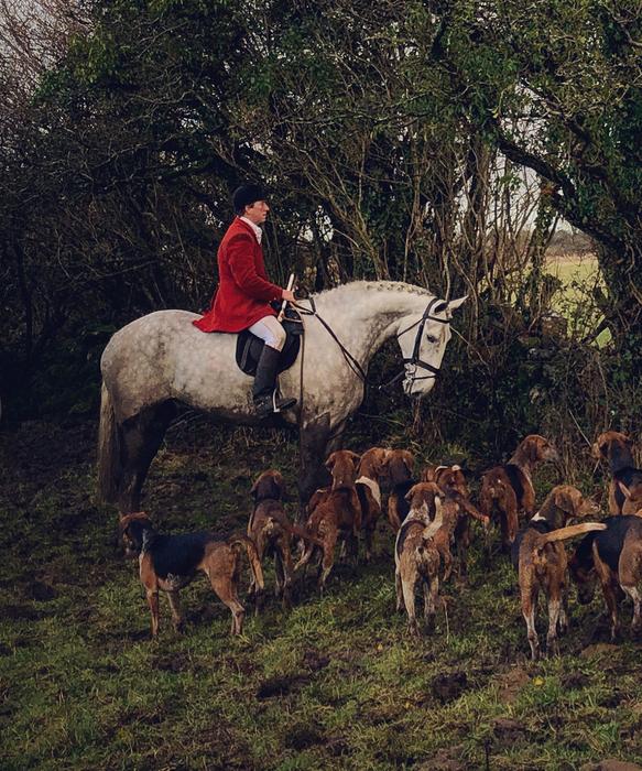The Hunt I
