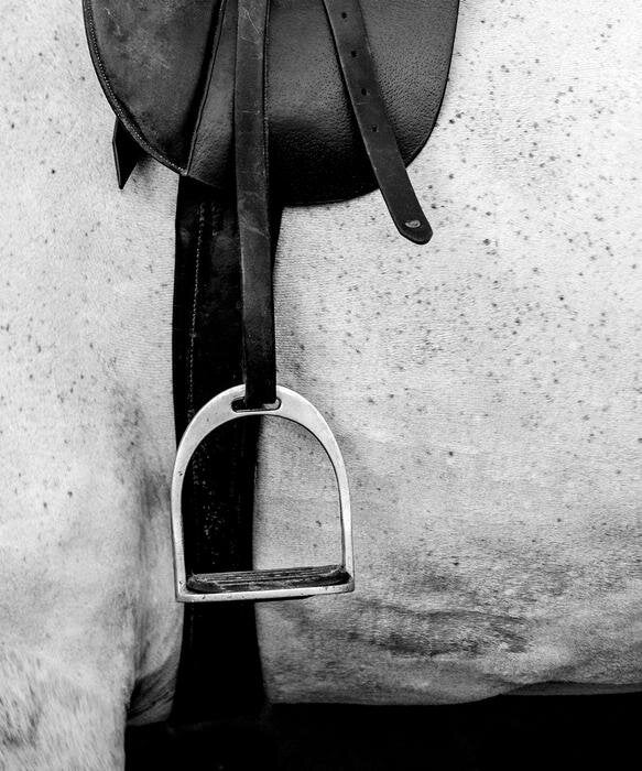 Vintage Saddle