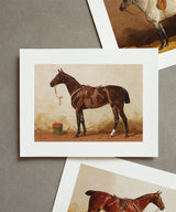 Vintage Equestrian Prints, Set of 4, Collection II