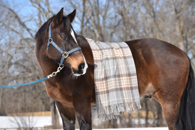 Lambswool Blanket in Mackellar Tartan