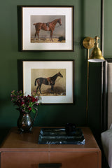 Vintage Equestrian Prints, Set of 4, Collection I