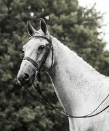 Portrait of 'Valentine'