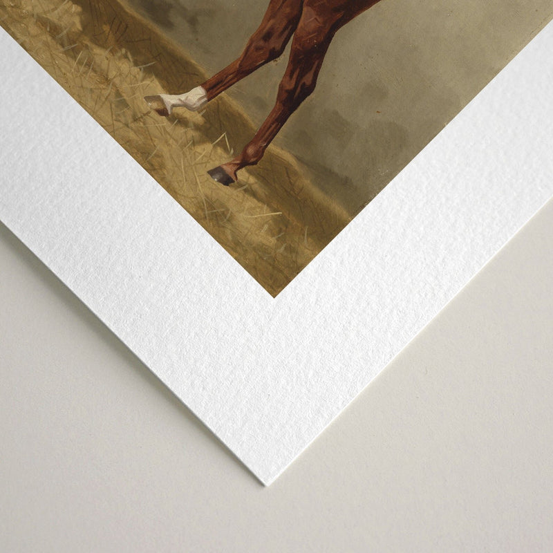 Vintage Equestrian Prints, Set of 4, Collection I