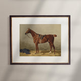 Vintage Equestrian Prints, Set of 4, Collection I