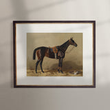 Vintage Equestrian Prints, Set of 4, Collection I