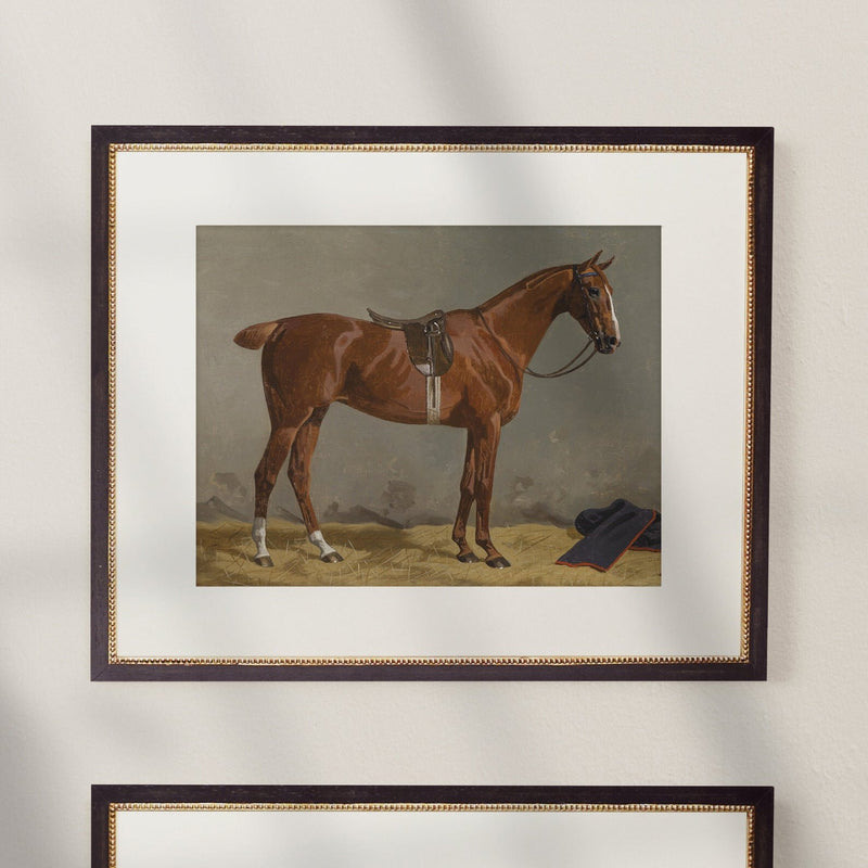 Vintage Equestrian Prints, Set of 4, Collection I