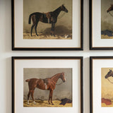 Vintage Equestrian Prints, Set of 4, Collection I