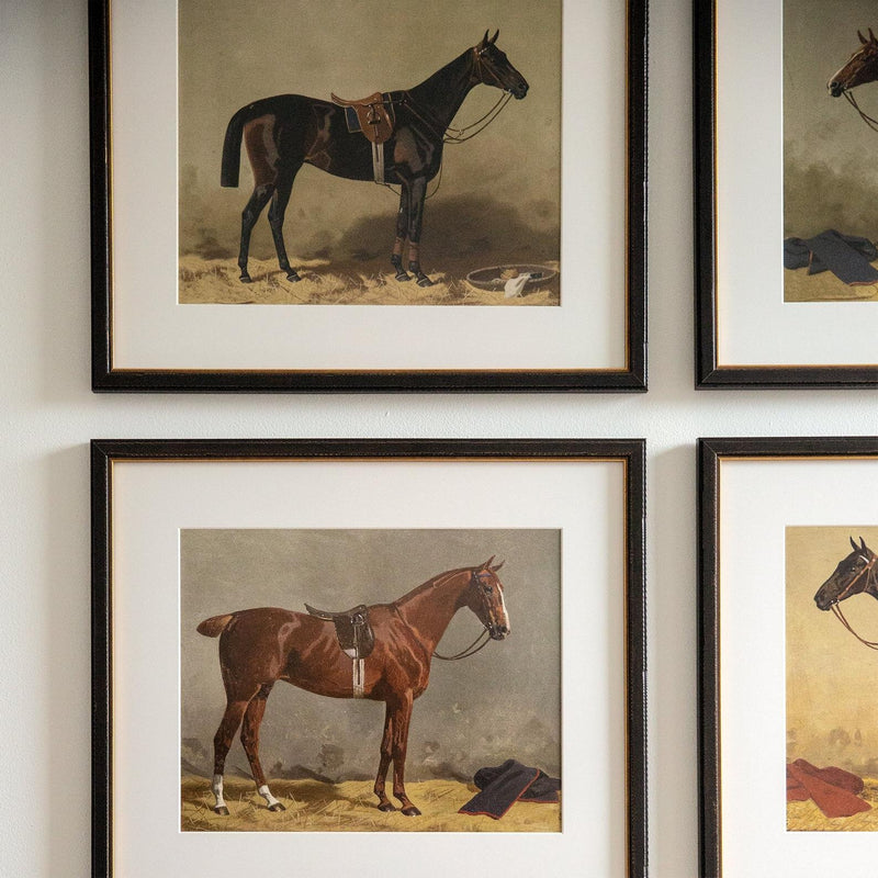 Vintage Equestrian Prints, Set of 4, Collection I