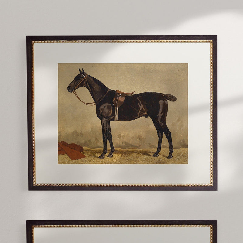 Vintage Equestrian Prints, Set of 4, Collection I