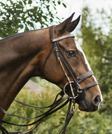 Portrait of 'Tuesday'