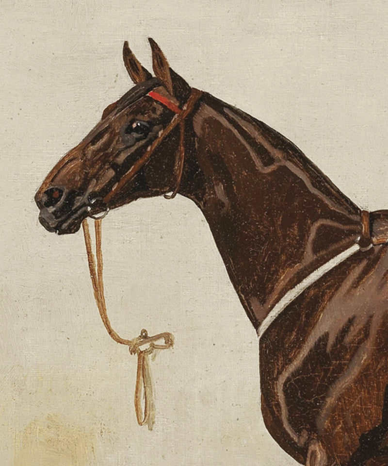 Vintage Equestrian Prints, Set of 4, Collection II