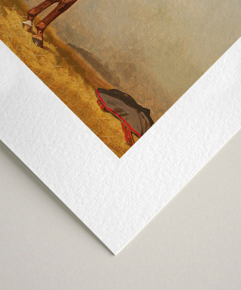 Vintage Equestrian Prints, Set of 4, Collection II