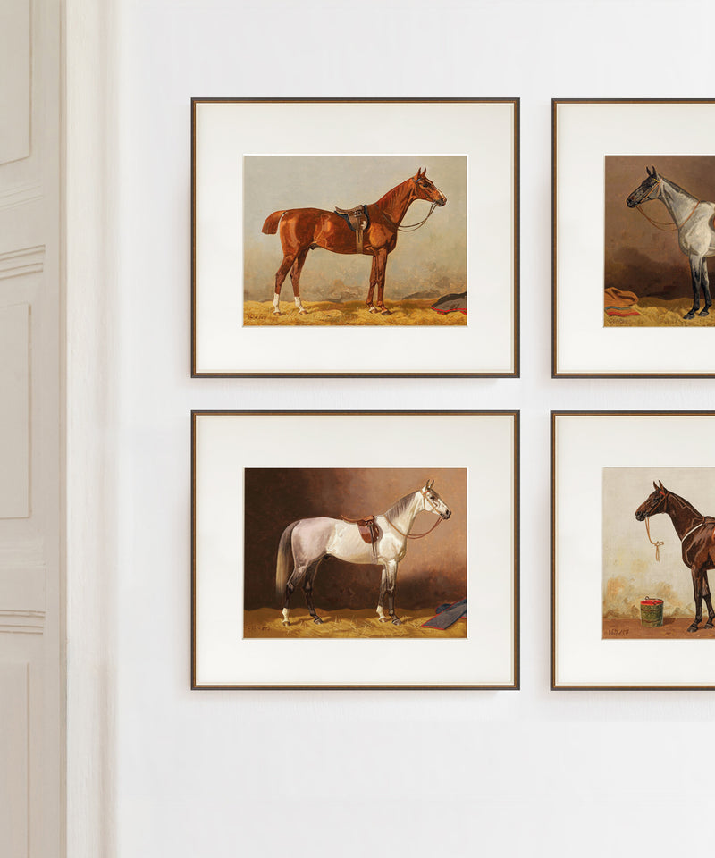Vintage Equestrian Prints, Set of 4, Collection II